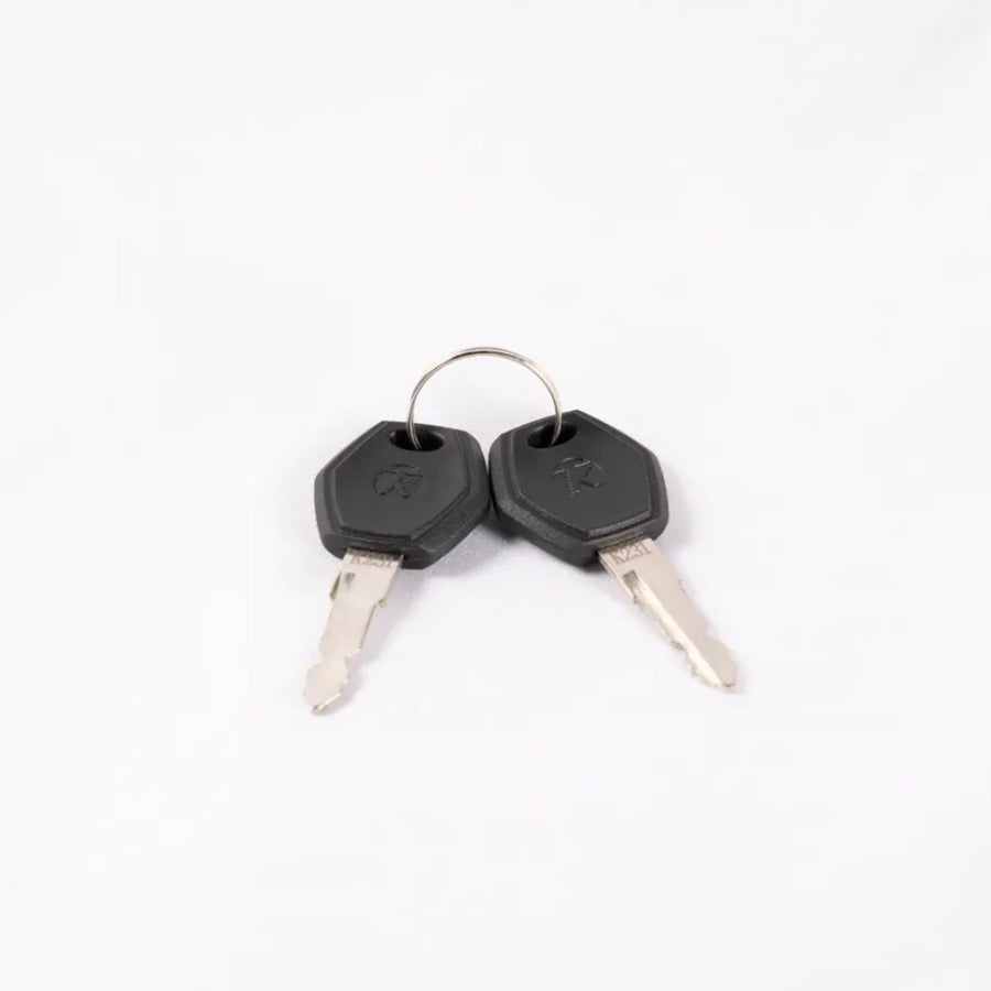 Customized Battery Key-movcan-ebike