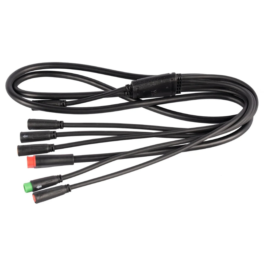 Main Wiring Harness