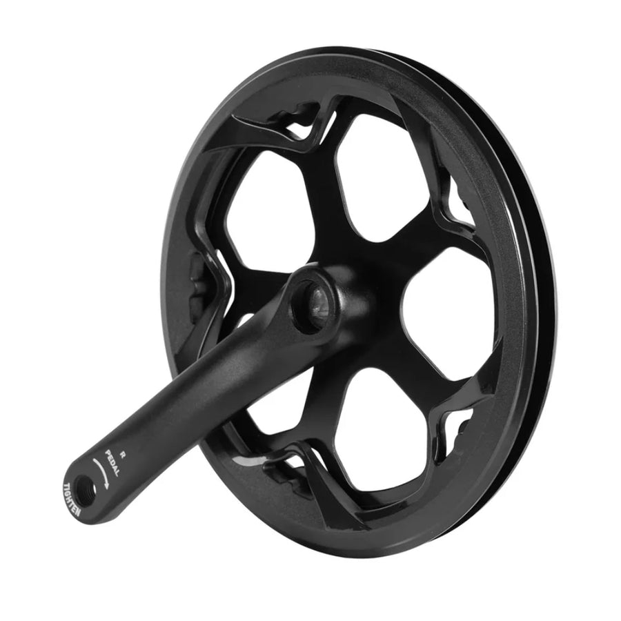 Right Crank Arm & Chainring Assembly