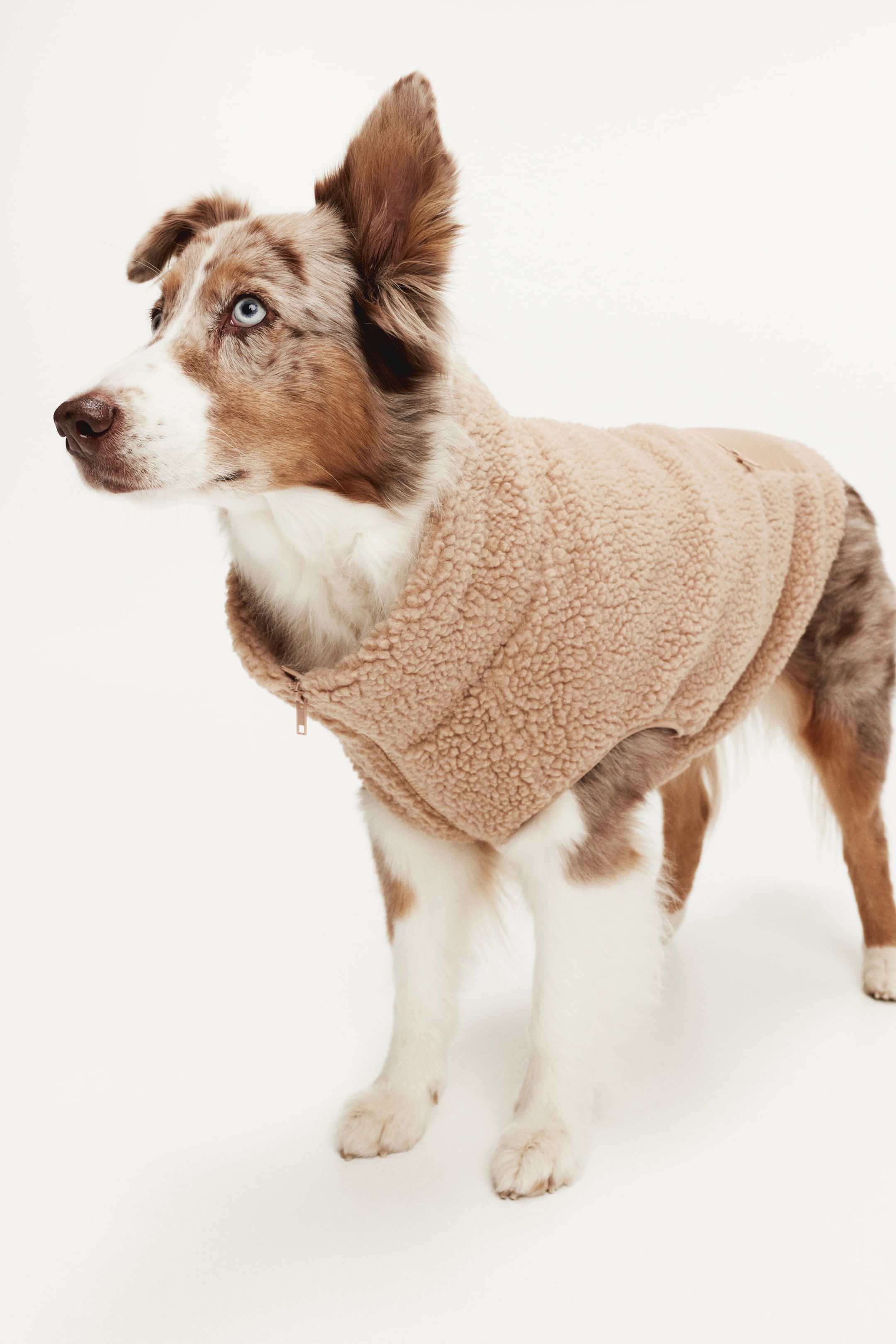 Teddy Fleece Dog Jacket (Buy 2 Free Shipping)