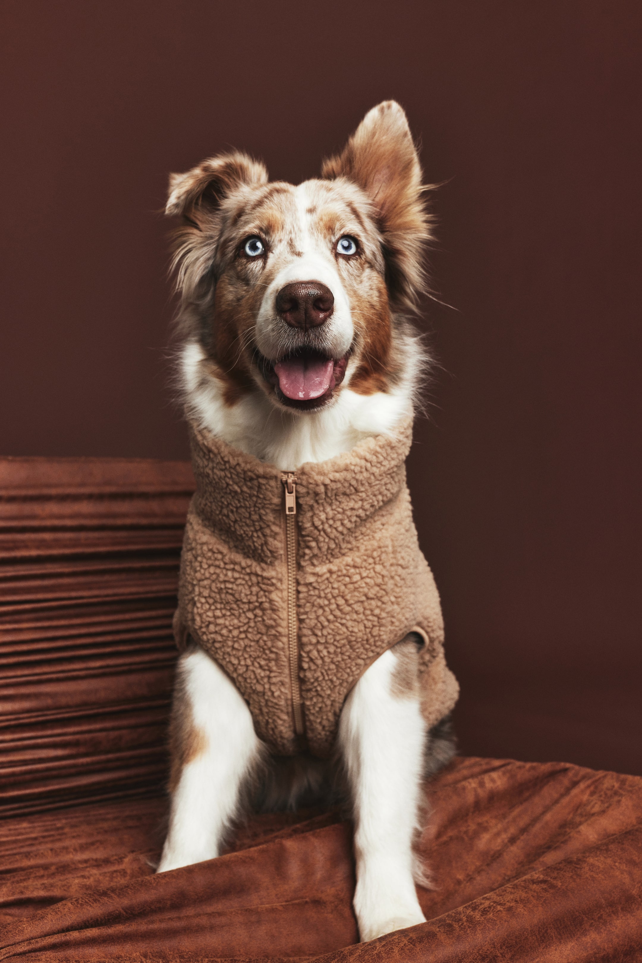 Teddy Fleece Dog Jacket (Buy 2 Free Shipping)
