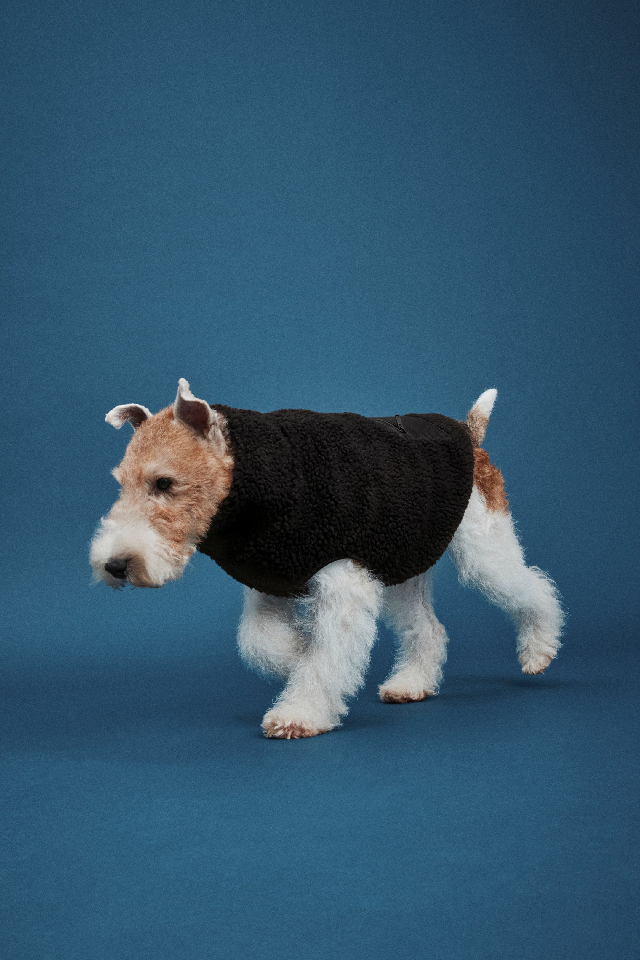 Teddy Fleece Dog Jacket (Buy 2 Free Shipping)