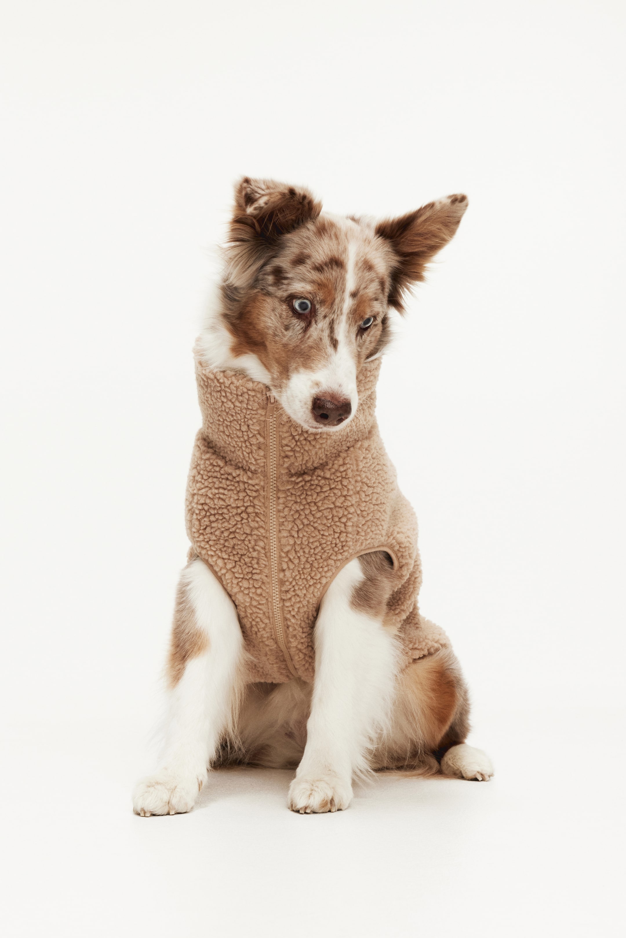 Teddy Fleece Dog Jacket (Buy 2 Free Shipping)