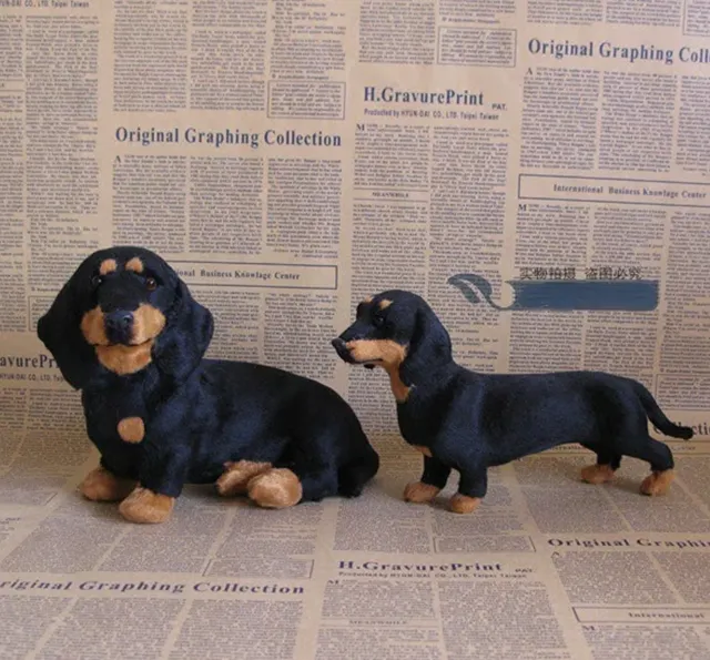 🐶 The Dachys – Emotional Healing on Demand
