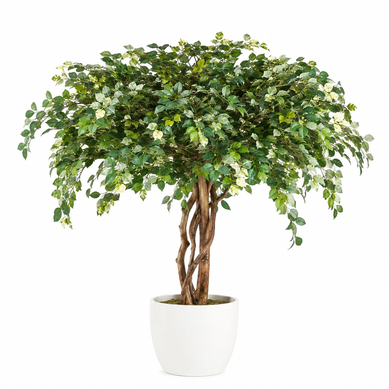 Árbol Artificial Decorativo 160 cm Hojas Verdes con Maceta Blanca-JARNOVIEL