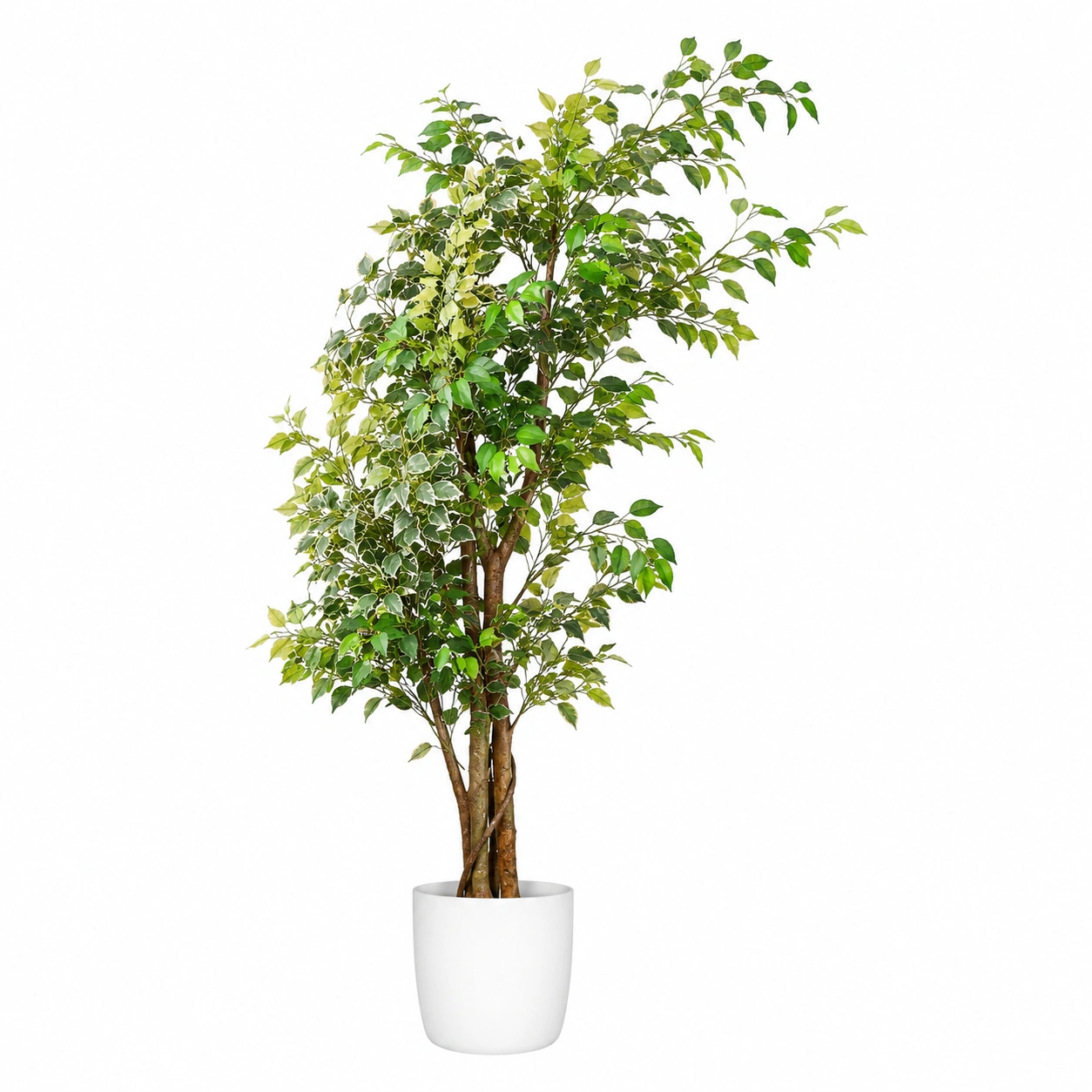 Ficus Benjamina Artificial con Maceta Blanca de 180cm para Interior-JARNOVIEL