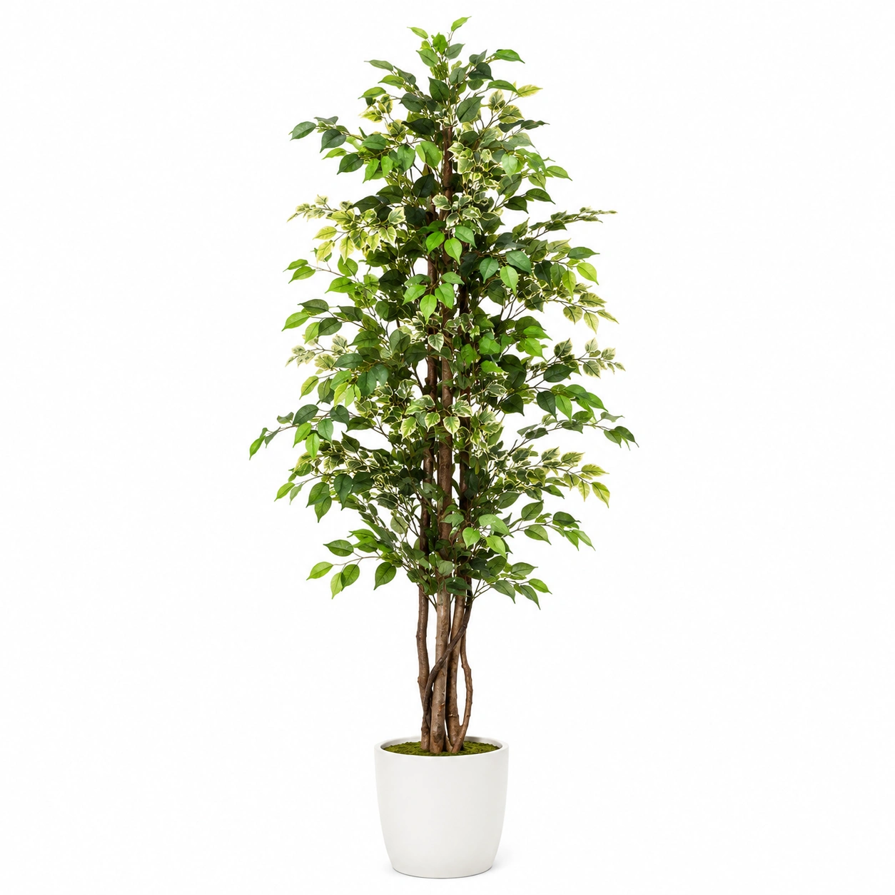 Árbol Artificial Ficus Verde 180cm con Maceta-JARNOVIEL