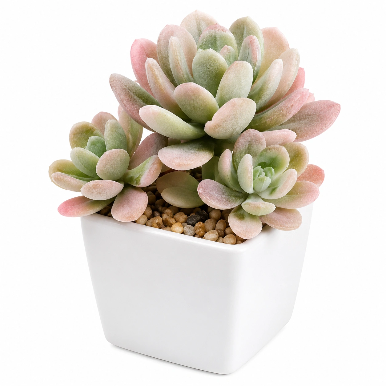 Suculenta Artificial en Maceta Cuadrada Verde y Rosa 12 cm-JARNOVIEL