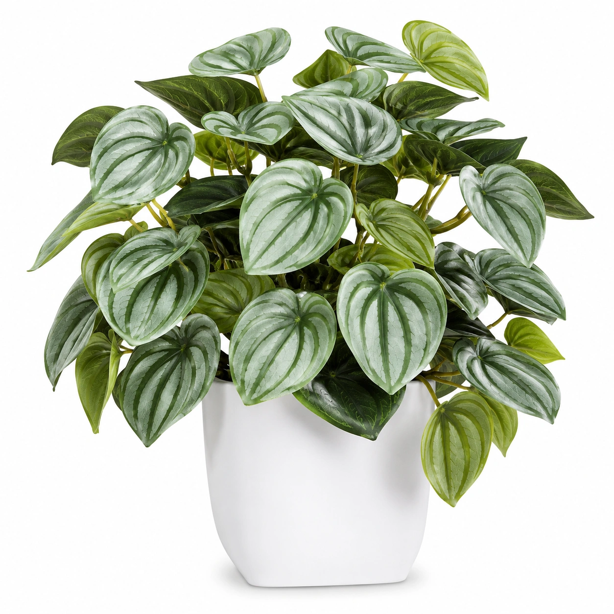 Planta Artificial de Peperomia en Maceta Verde 40 cm-JARNOVIEL