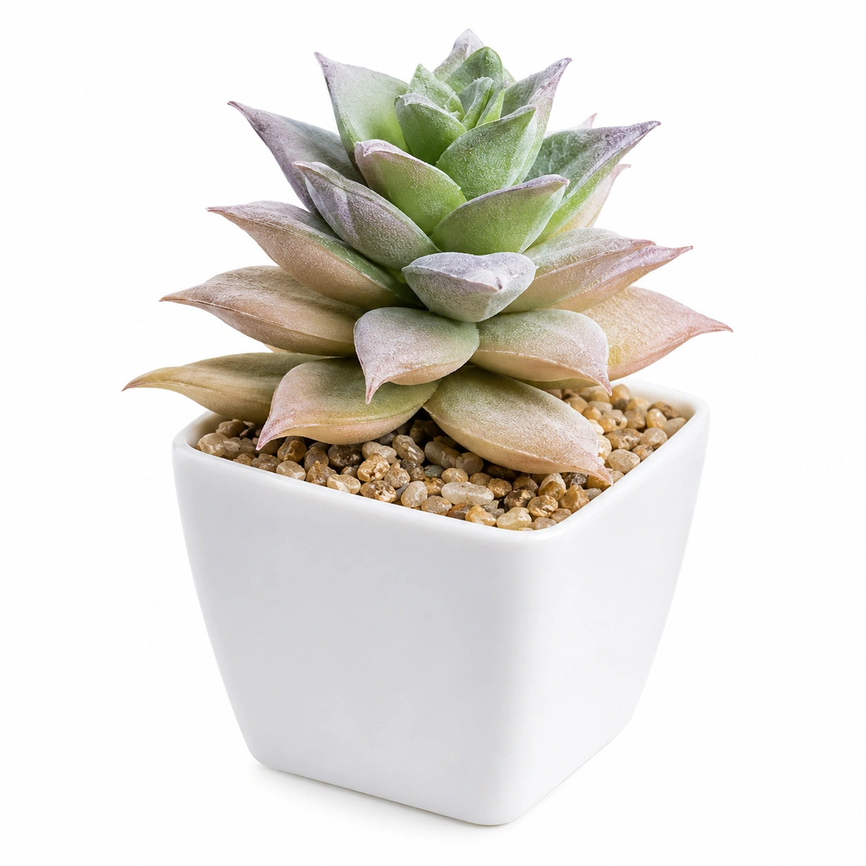 Mini Suculenta Artificial en Maceta Blanca - Multicolor-JARNOVIEL