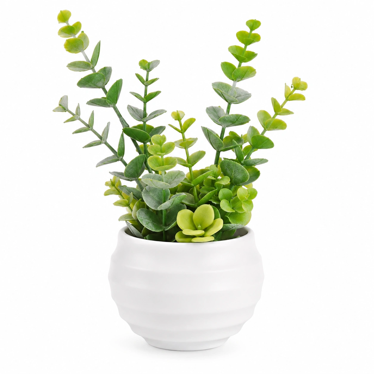 Planta Suculenta Artificial en Maceta Blanca de Cerámica-ULQERNIKA