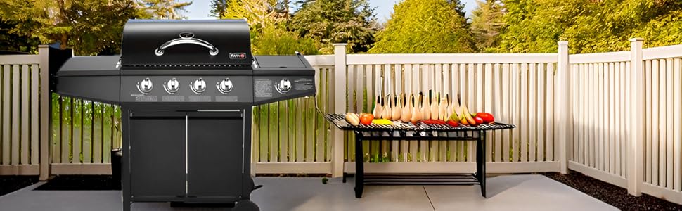 barbacoa de gas de amig