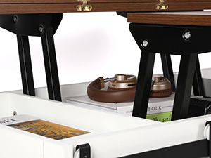  Table Basse Relevable