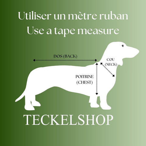Guide Taille Mesures Teckel Teckelshop