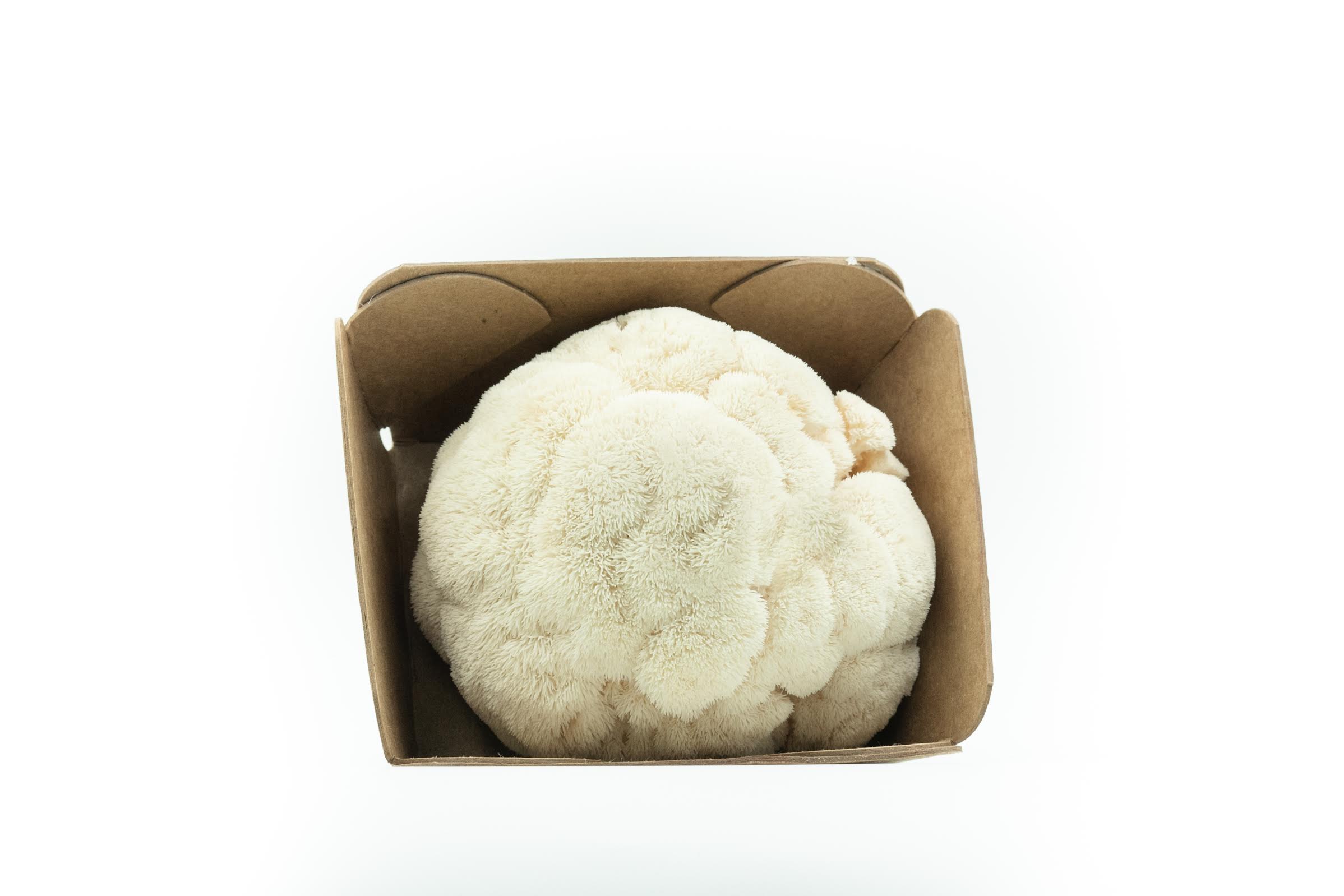 Lion's Mane Mushrooms