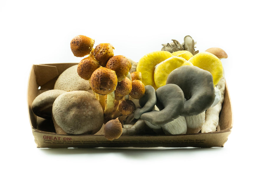 Forest Medley Stir-Fry
