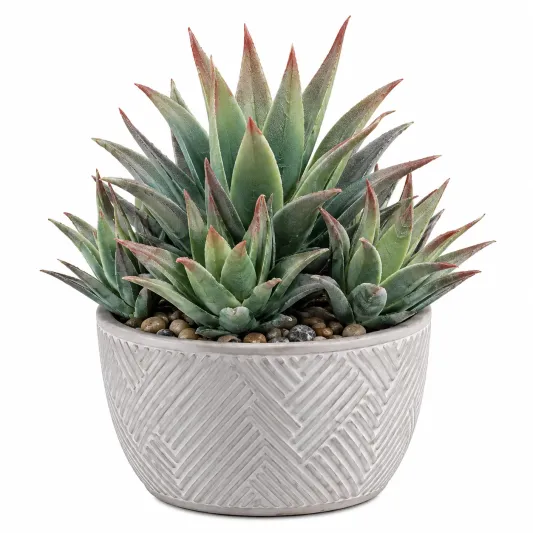 Planta Suculenta Artificial con Maceta Blanca Decorativa, 15cm-cozyfetra