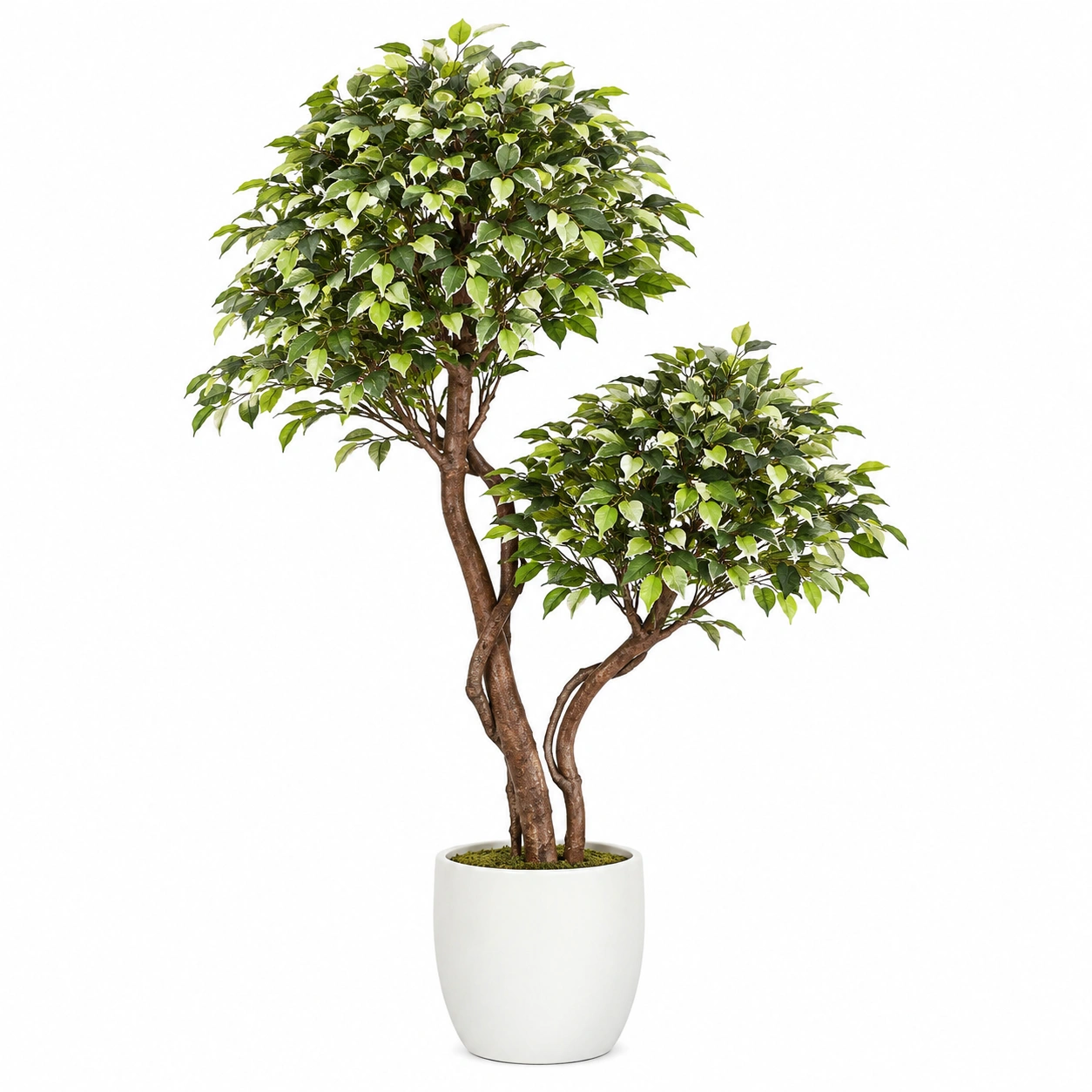 Palmera Artificial de Interior 150 cm Verde con Maceta-ulqernova