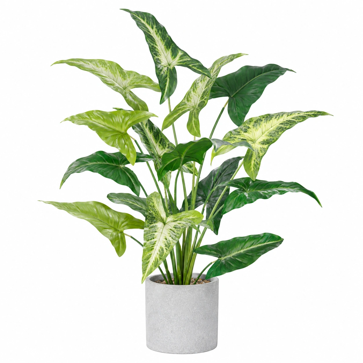 Planta Artificial con Maceta Negra Verde 25cm-ulqernova