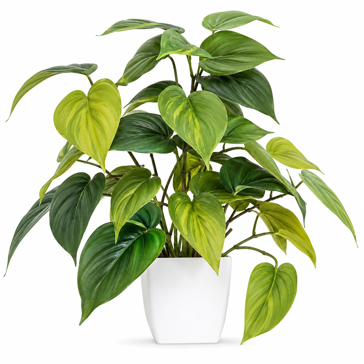 Planta Artificial Verde con Maceta de Cemento 30cm-ulqernova