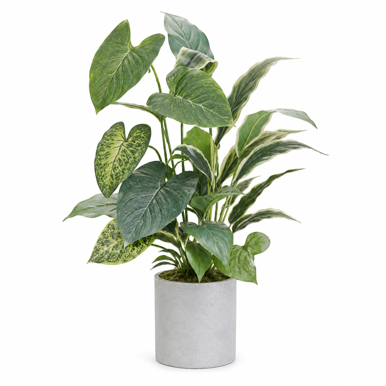 Planta Artificial Verde en Maceta de Fibra Tejida, 30cm-ulqernova