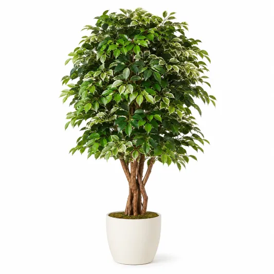 Ficus Artificial Verde y Blanco 160 cm con Maceta-arkmivelo
