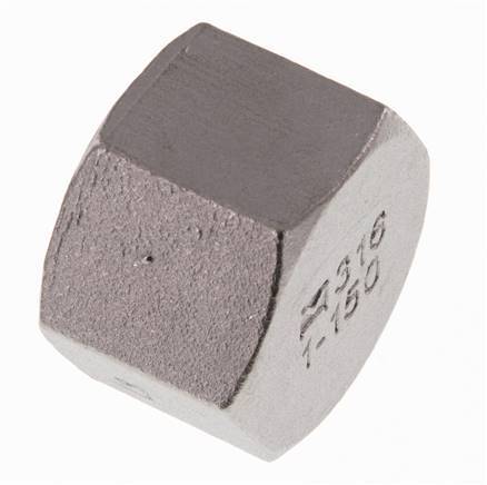 Rp 1 inch Stainless steel End cap 16 Bar — image 5
