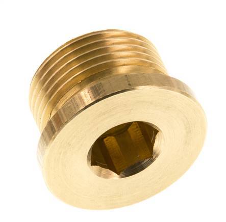 G 1 inch Brass Closing plug with Inner Hex 16 Bar — image 3