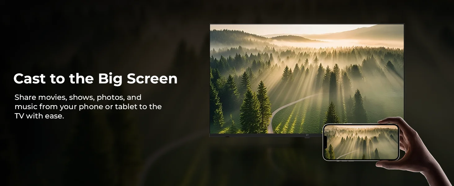 FPD Google TV with Google Cast from phone to TV