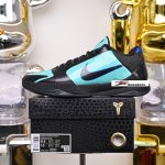 Nike Zoom Kobe 5 PROTRO EYBL P IH0274-300