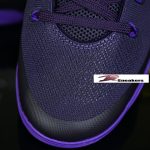 Nike Kobe 9 Elite Low EM Protro"Purple Dynasty" IH1401-500 - Image 10