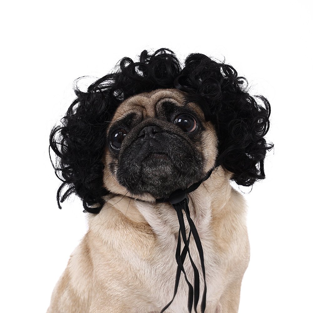 wig