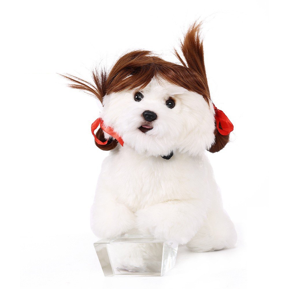 wig