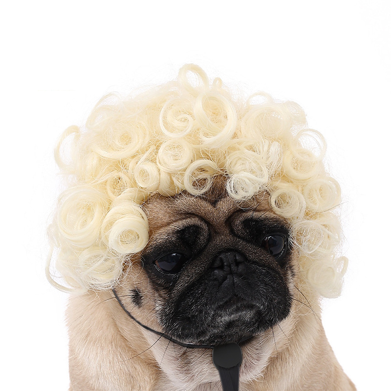 wig