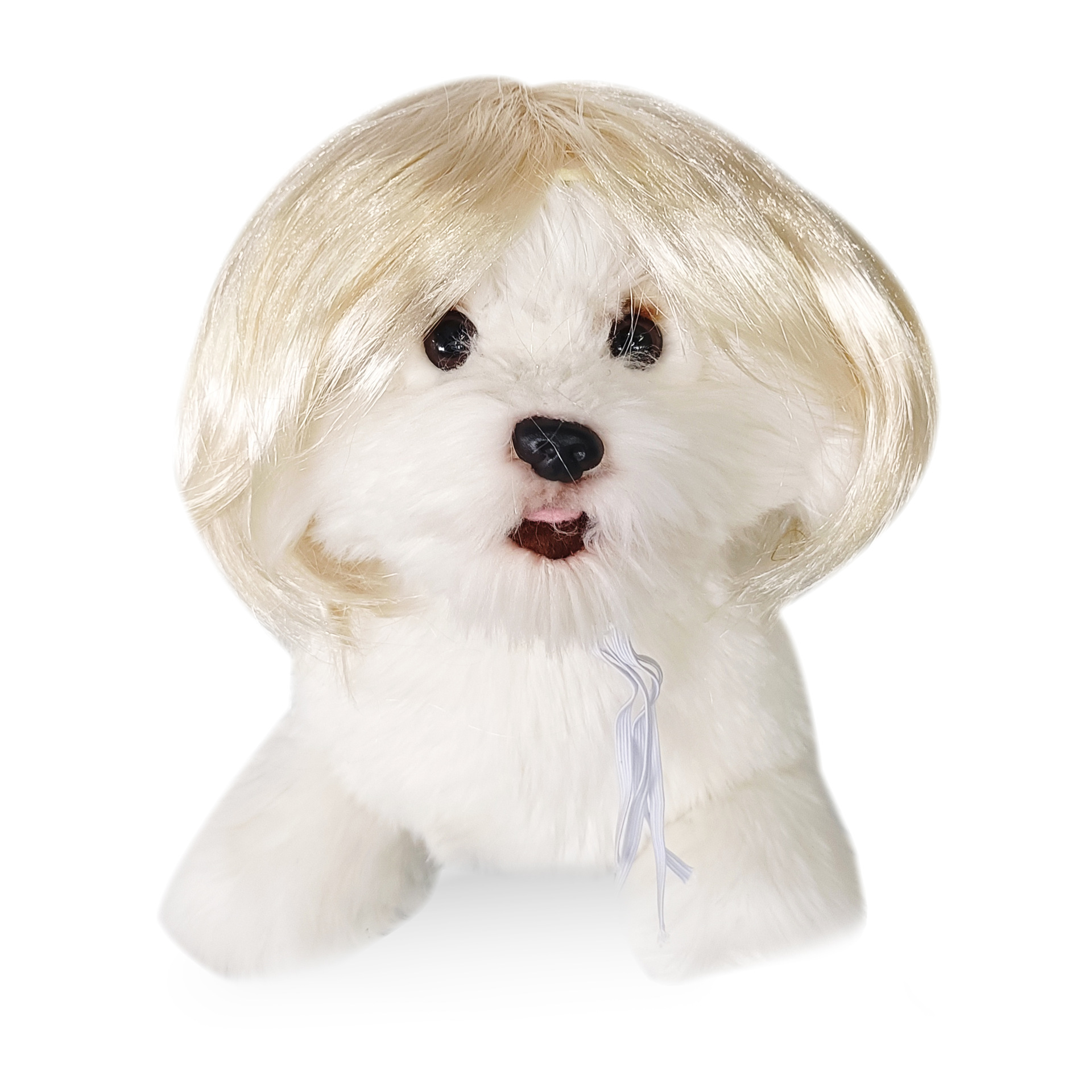 wig