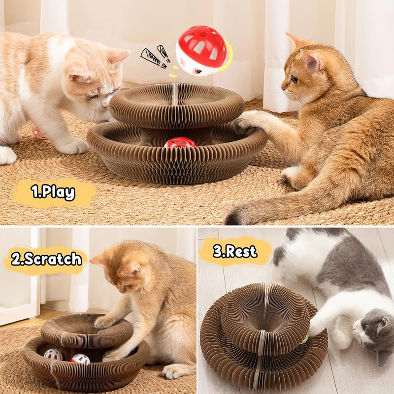 Magic Organ Cat Scratching Board--Comes with a toy bell ball