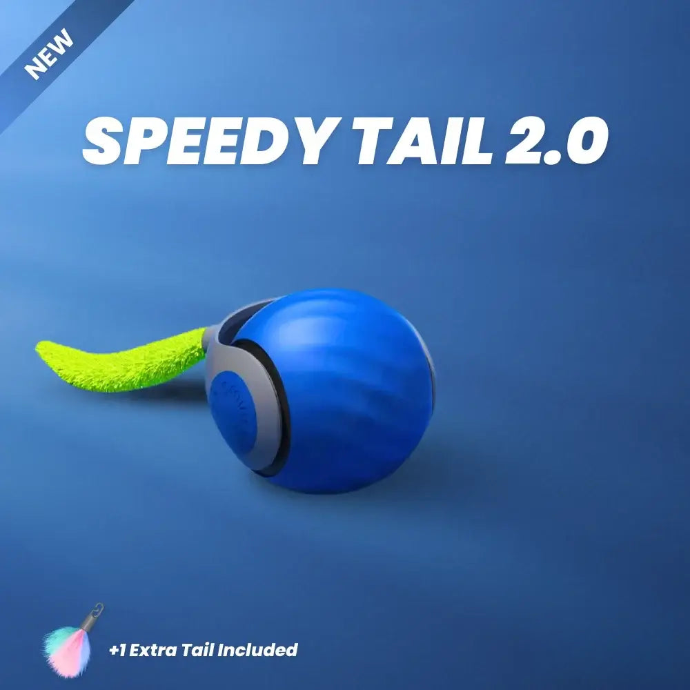 🐱 Interactive Rechargeable Cat Toy Ball | Smart Automatic Pet Playmate - 50% OFF 🔥