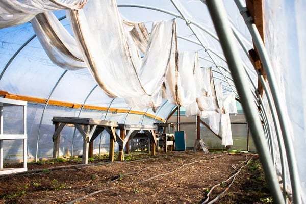 💥Last Day Promotion 🔥Shade Cloth Heavy Duty Lock Grip