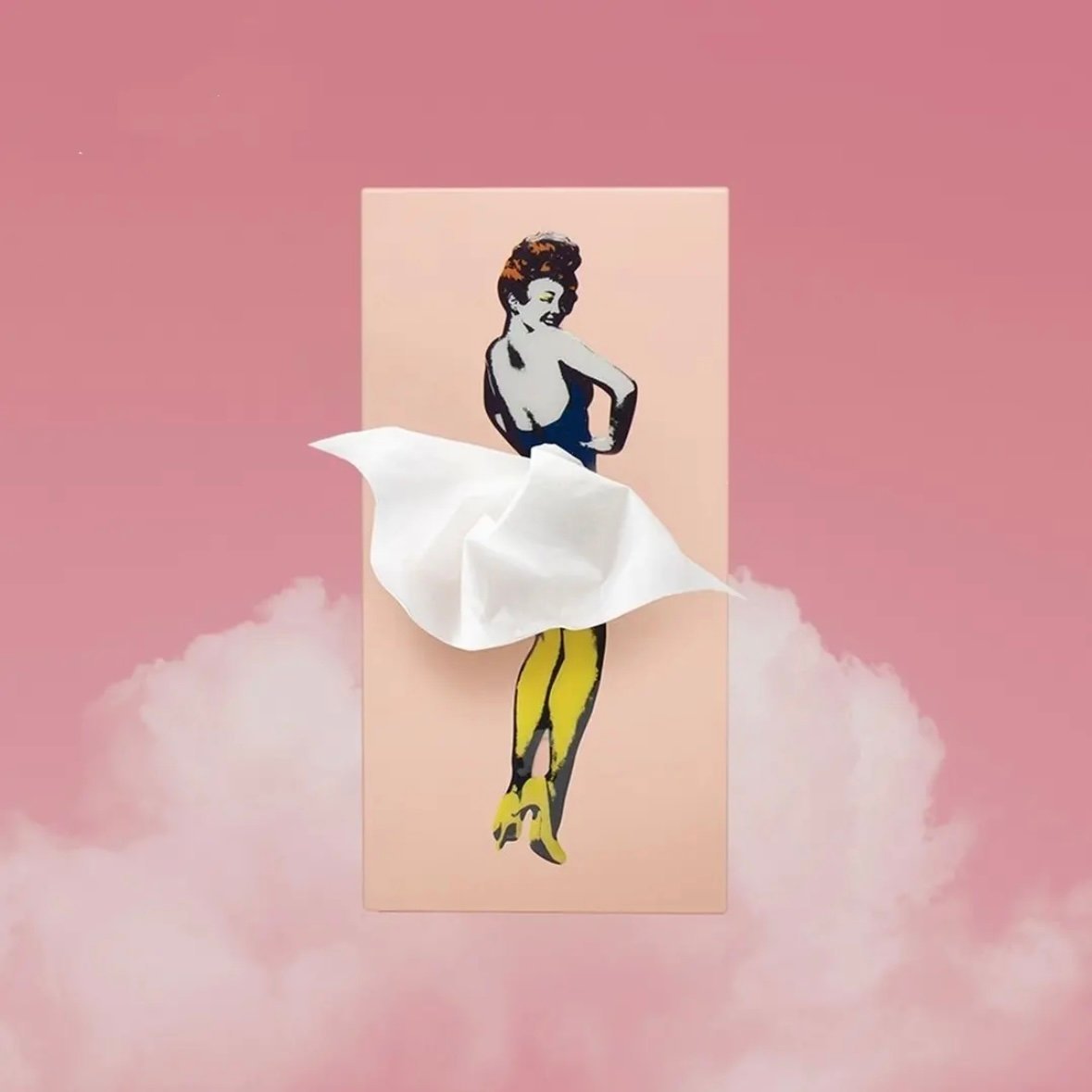 🔥LAST DAY 49% OFF🎁-Cute Flying Skirt Tissue Box ✨