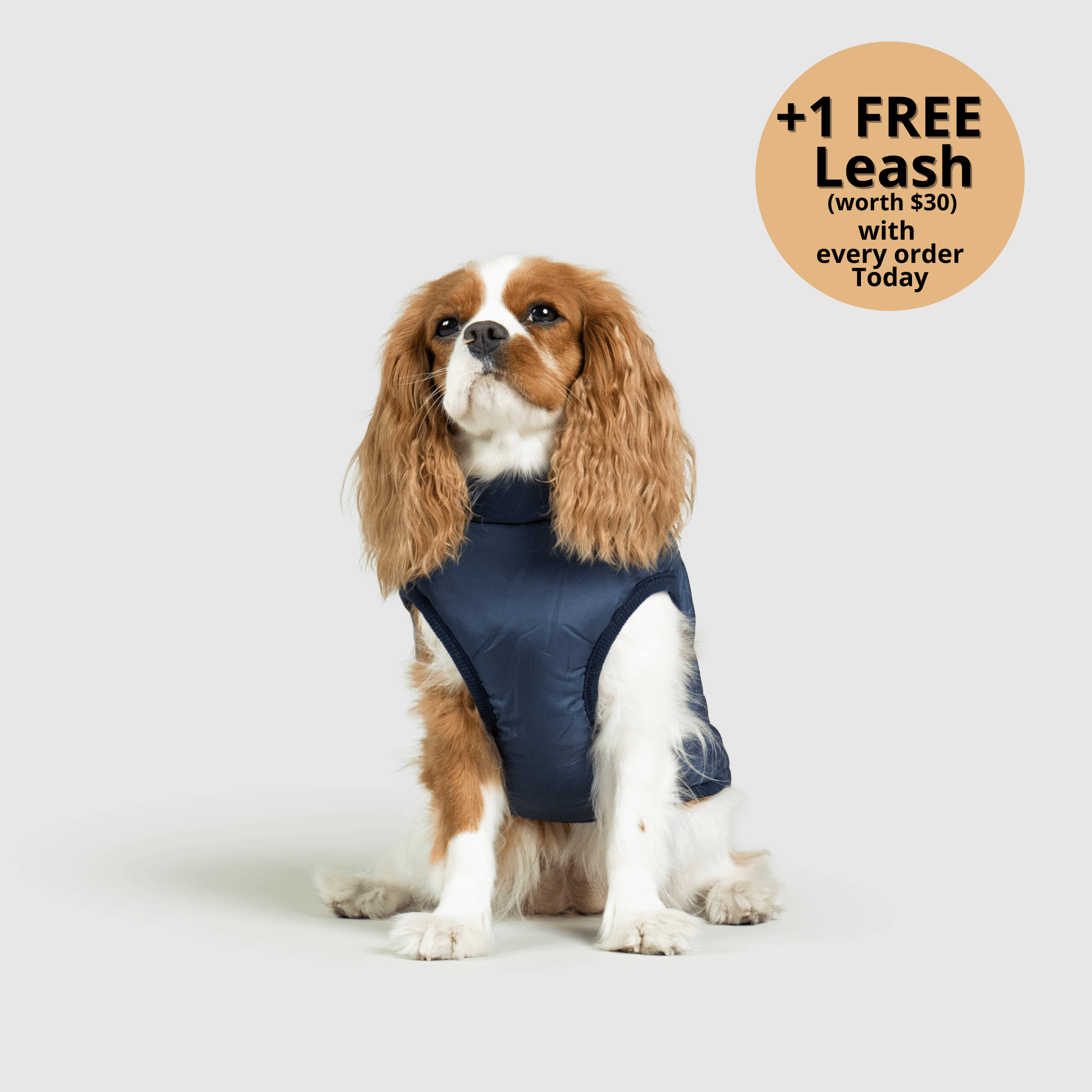 🔥 Waterproof Winter Dog Jacket with Built-in Harness 3 in 1 Winter Jacket🎁