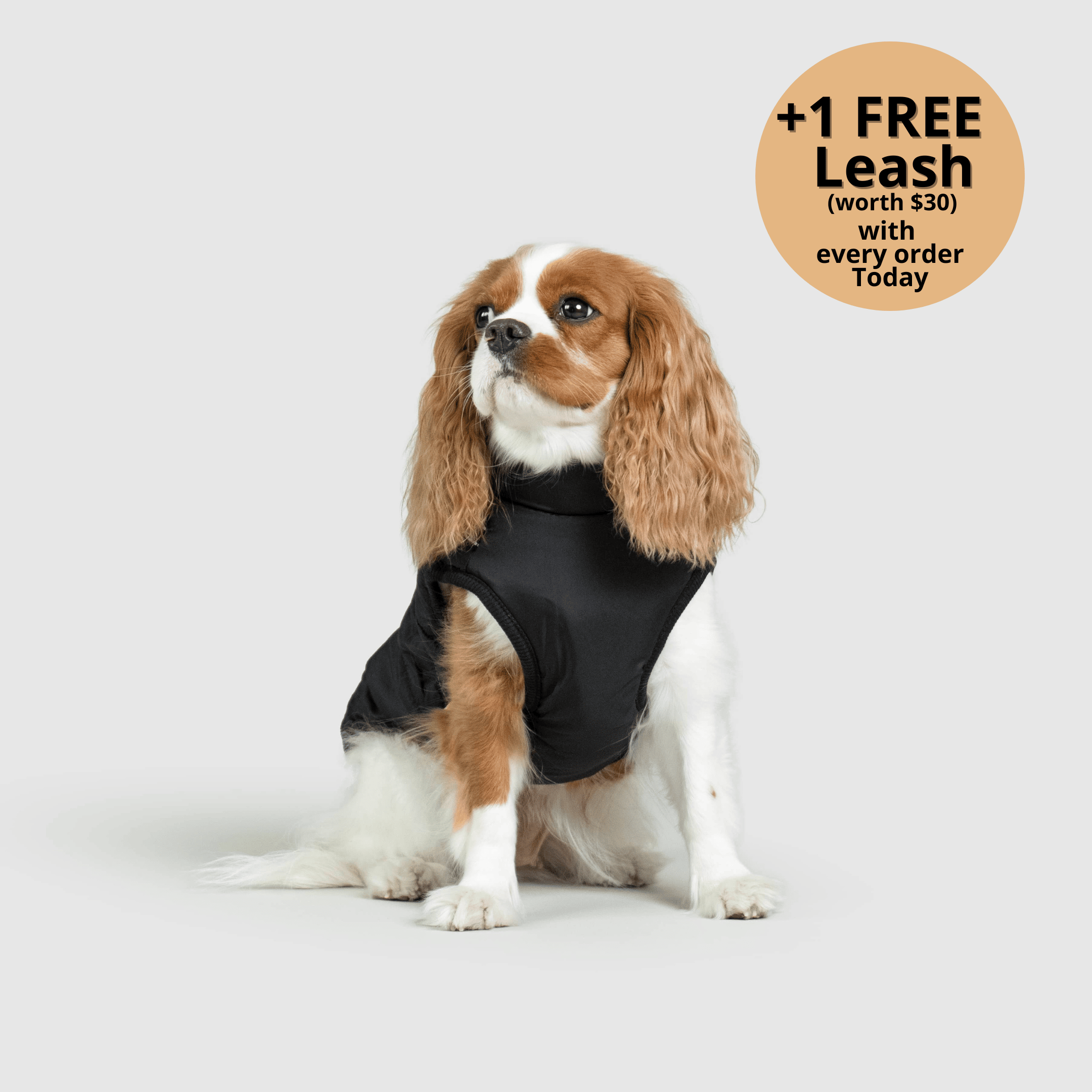 🔥 Waterproof Winter Dog Jacket with Built-in Harness 3 in 1 Winter Jacket🎁
