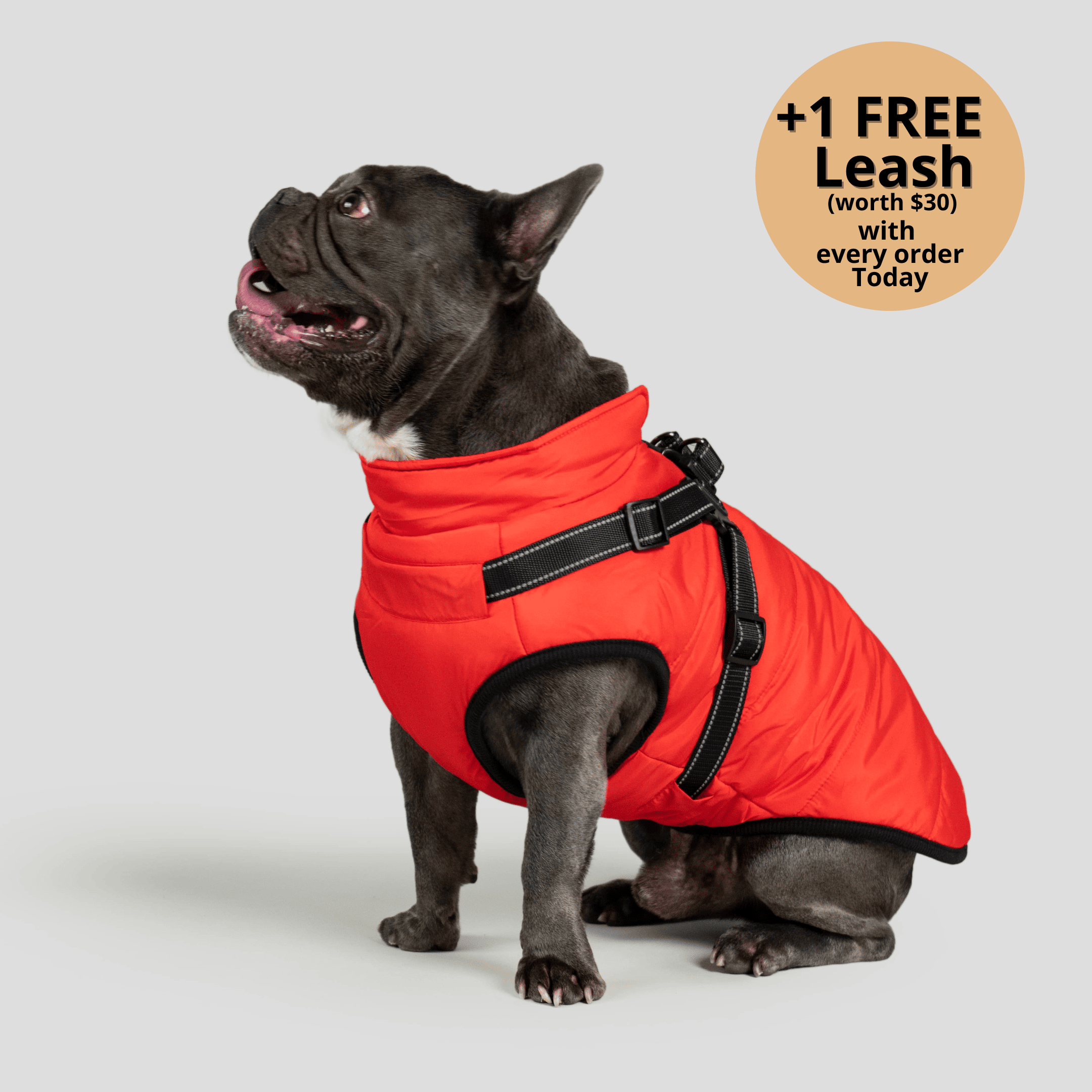 🔥 Waterproof Winter Dog Jacket with Built-in Harness 3 in 1 Winter Jacket🎁