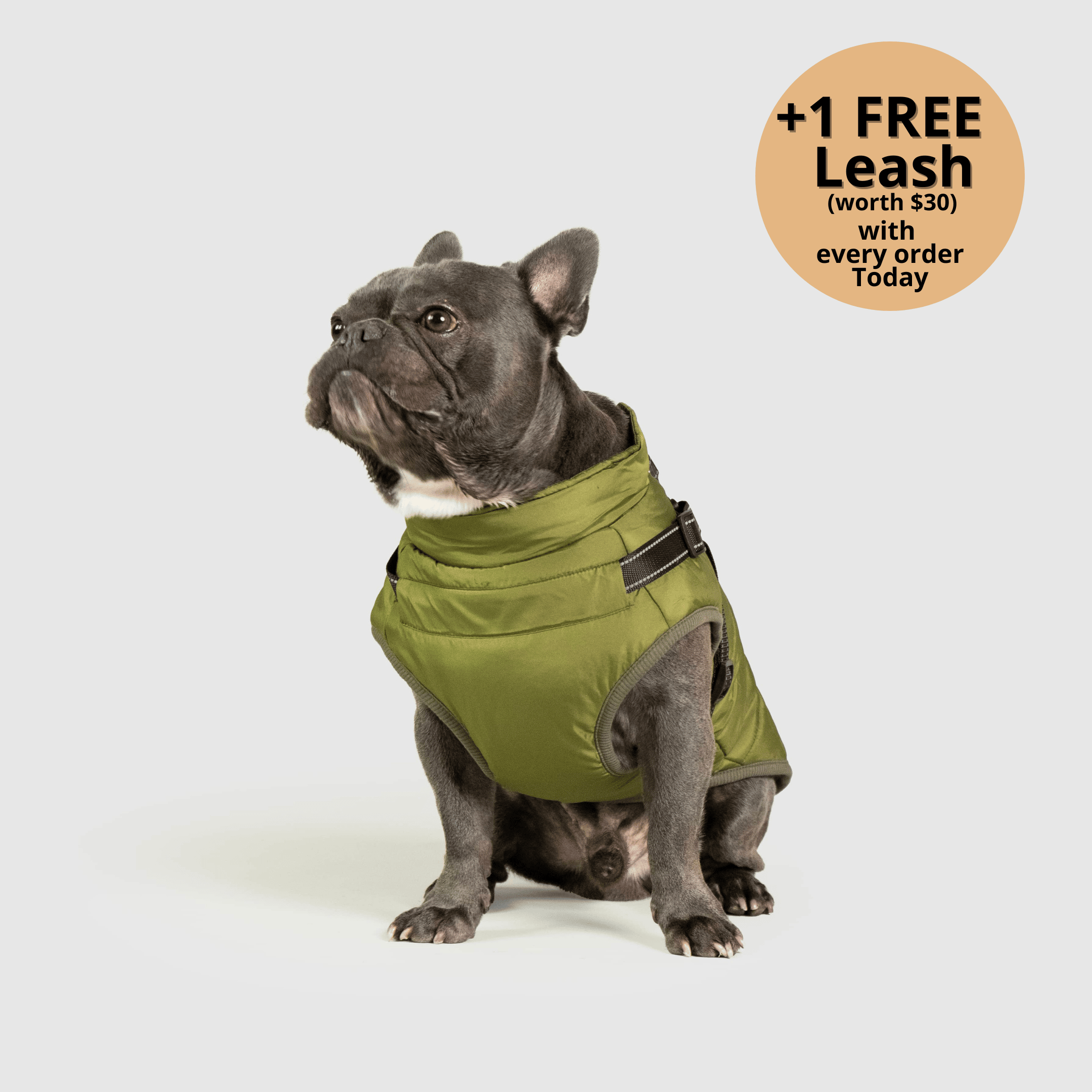 🔥 Waterproof Winter Dog Jacket with Built-in Harness 3 in 1 Winter Jacket🎁