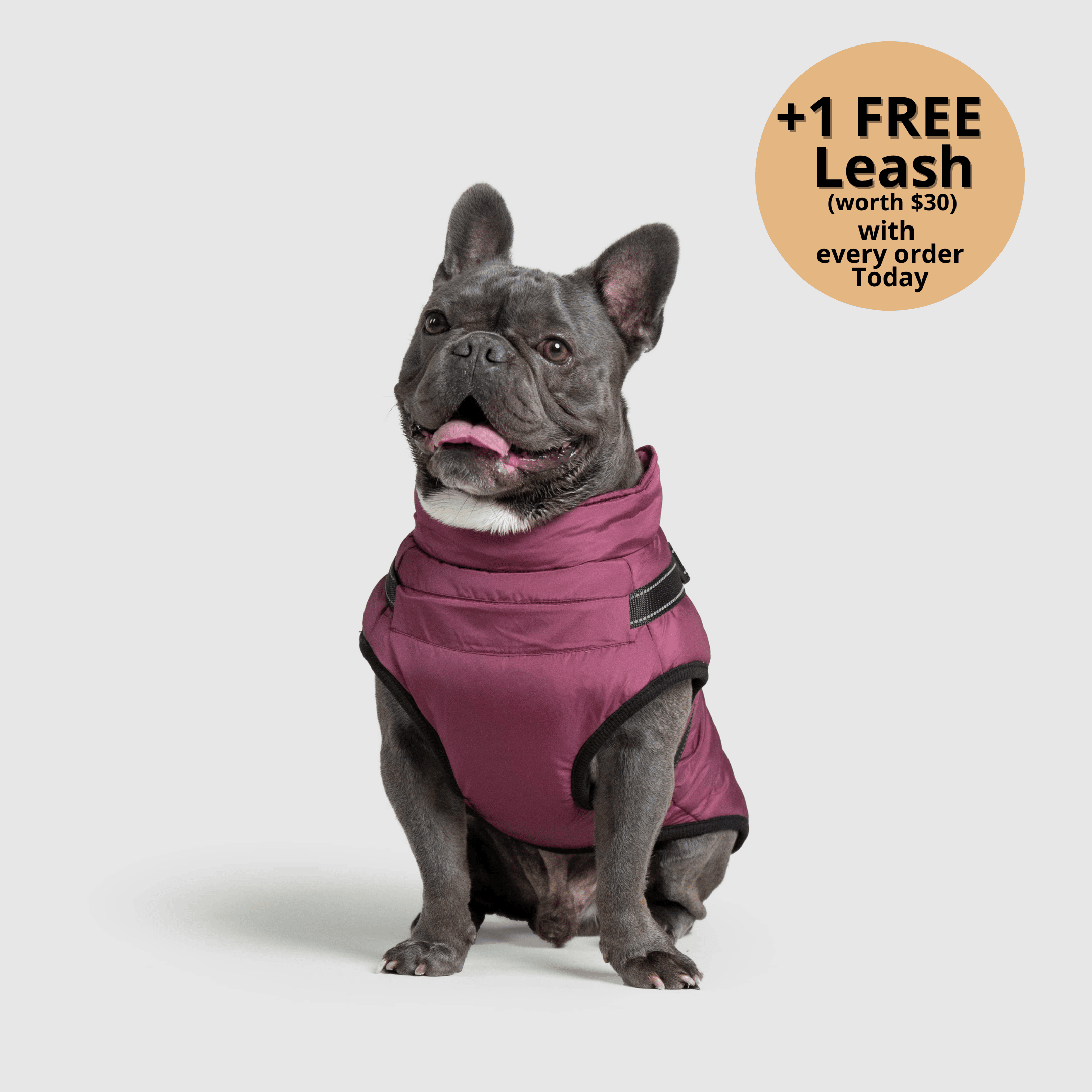 🔥 Waterproof Winter Dog Jacket with Built-in Harness 3 in 1 Winter Jacket🎁