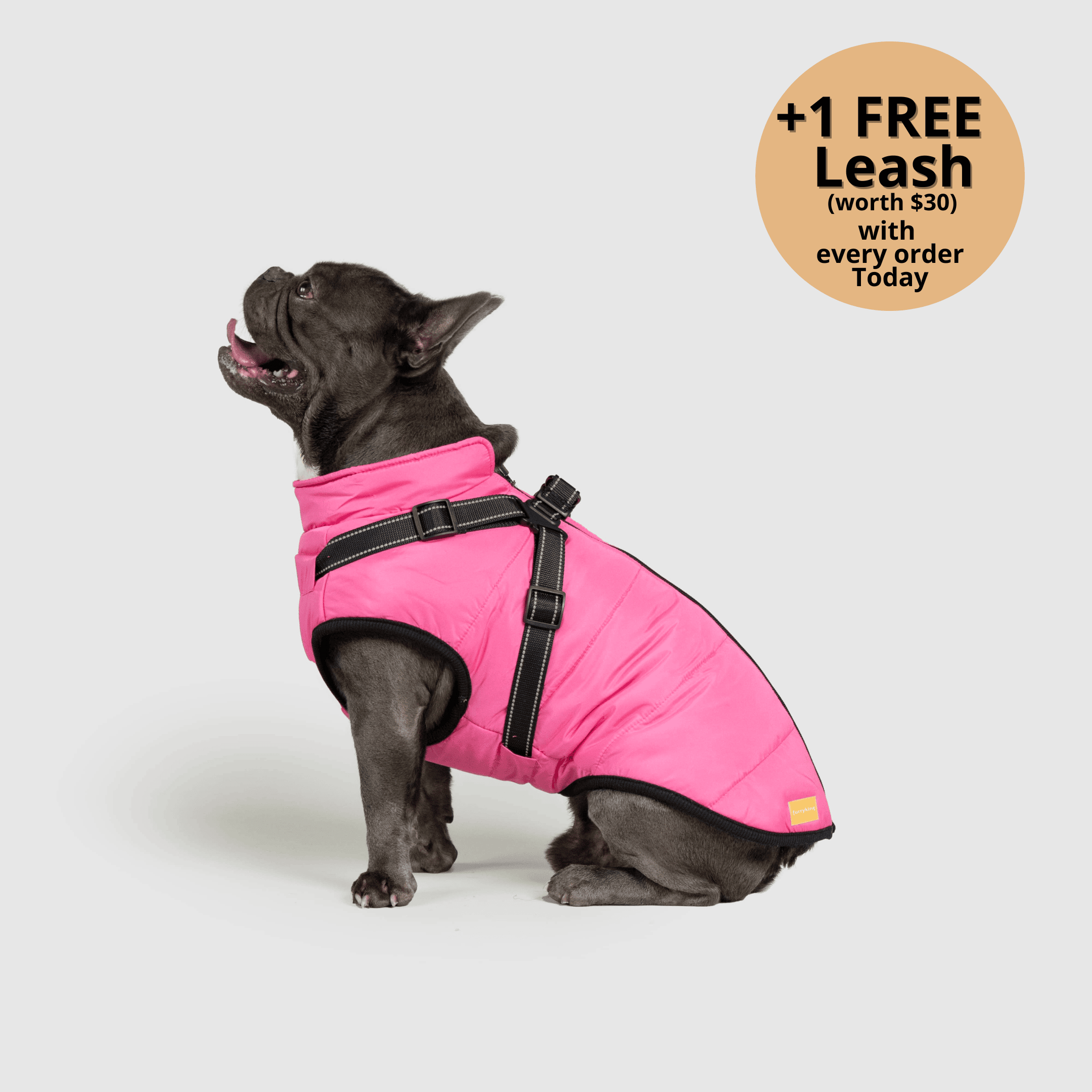 🔥 Waterproof Winter Dog Jacket with Built-in Harness 3 in 1 Winter Jacket🎁