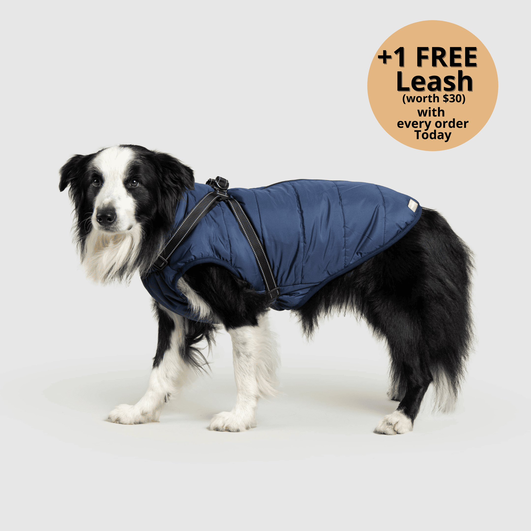 🔥 Waterproof Winter Dog Jacket with Built-in Harness 3 in 1 Winter Jacket🎁