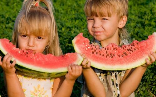 🔥Last day clearance🍉Lazy Man's Watermelon Seeds
