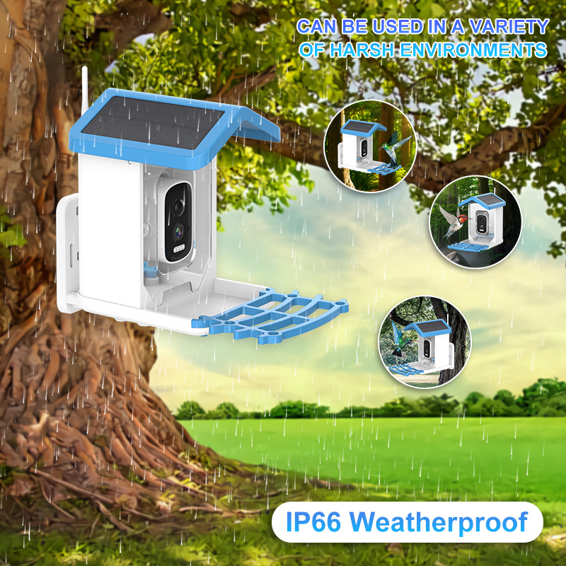 🔥LAST DAY 50% OFF👀🐦Bird Feeder with Camera and Solar Panel🧓💖