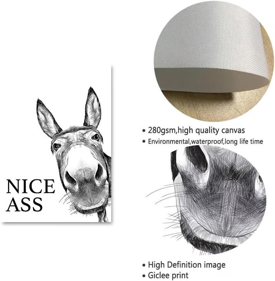🐴"Nice Ass!"Donkey Art - The Funniest Upgrade for Your Bathroom