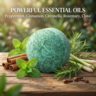 💥LAST DAY SALE 50%OFF💥🟢 Natural Peppermint Rodent Repellent Tablets – 10 Pack